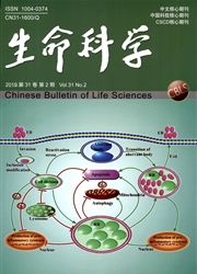 <b style='color:red'>生命</b><b style='color:red'>科学</b>