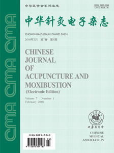 中华针灸电子杂志