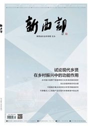 <b style='color:red'>新</b>西部：中旬·<b style='color:red'>理论</b>