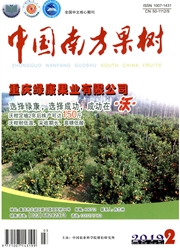 中国南方果树