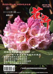 <b style='color:red'>花卉</b>